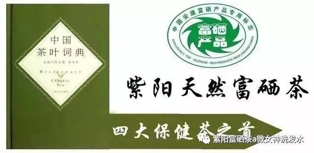 富硒清明茶的价格