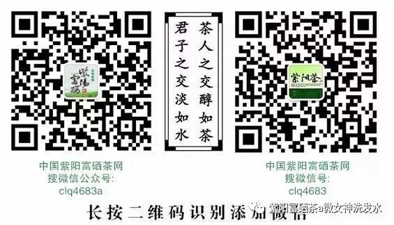 富硒清明茶的价格