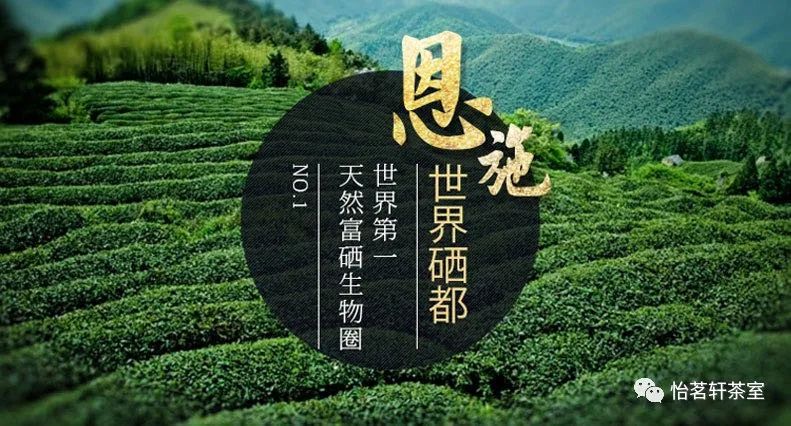恩施富硒茶有点苦