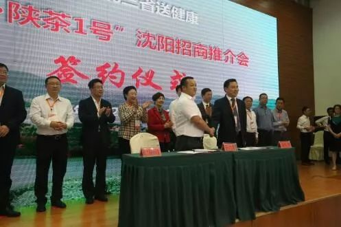 富硒茶推介词范文