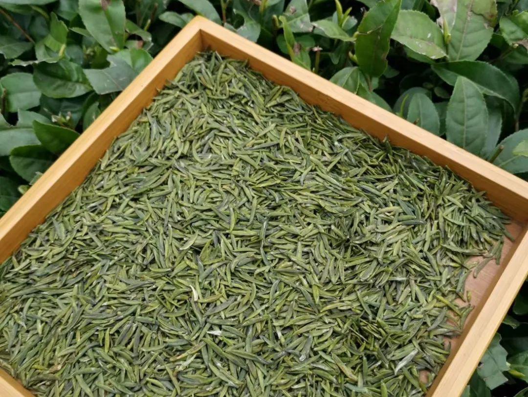 彭州凤阳富锌硒茶