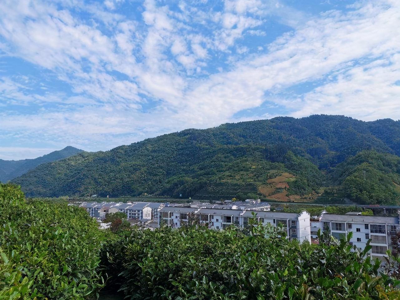 普洱富硒茶体验馆