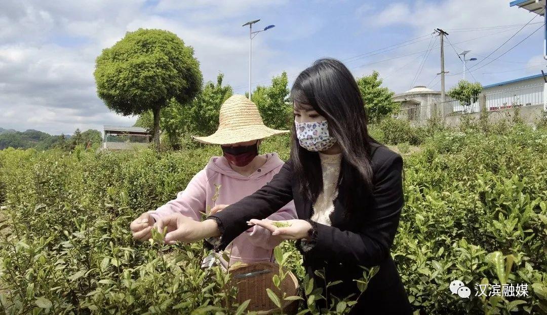 普洱富硒茶体验馆