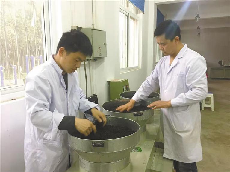 安康富硒茶的专利