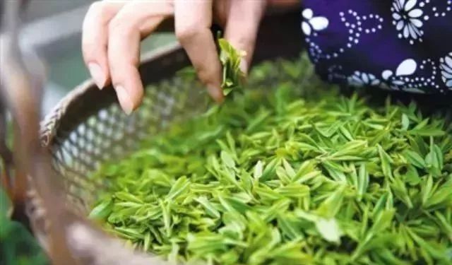 富硒茶的品质特点