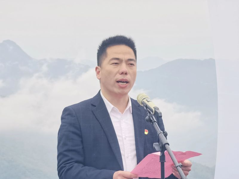 青州凤阳富锌硒茶