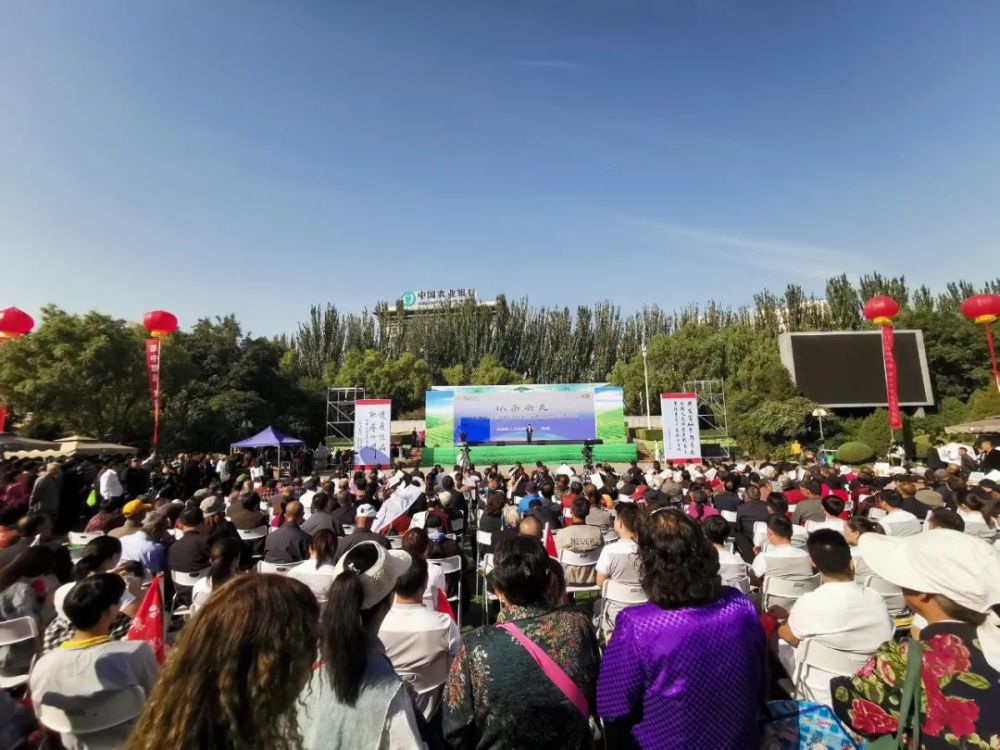 紫阳富硒茶跟毛尖