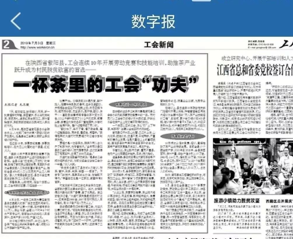 富硒紫阳茶的功能
