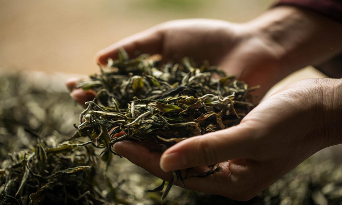金钱桔紫阳富硒茶