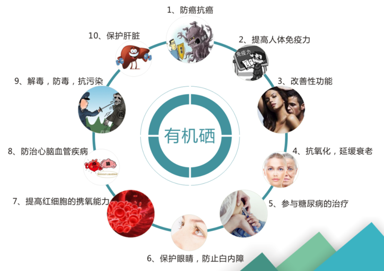 富硒茶缓解肌肉痛