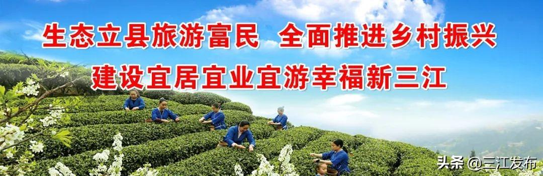 广西富硒茶饼价格