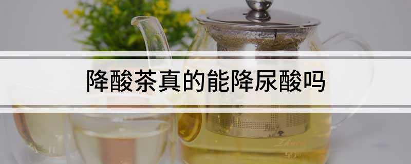 富硒茶能降尿酸吗