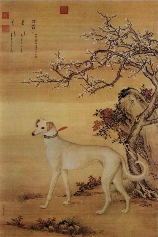 赞美富硒茶的诗句
