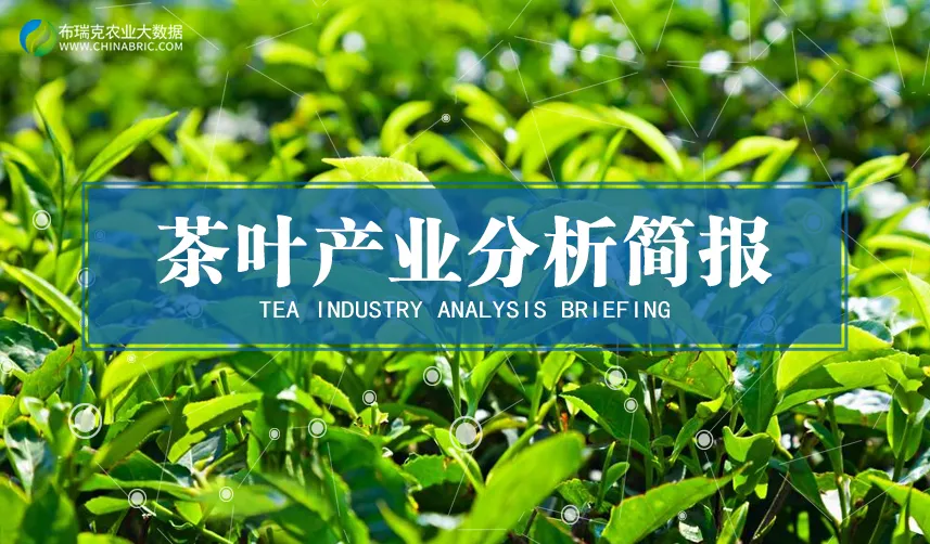 富硒茶作用和功效