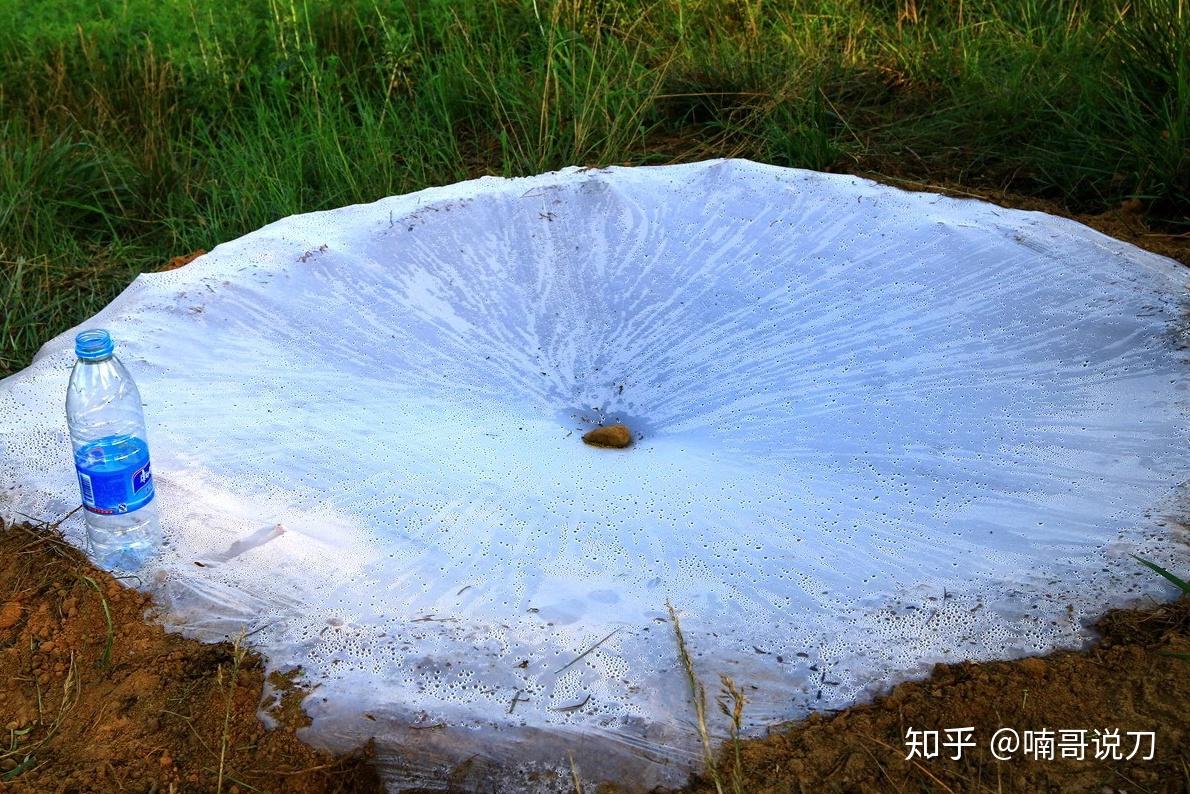 明月山富硒茶介绍
