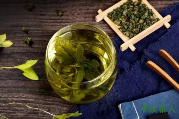 桑叶茶的功效与作用及禁忌，桑叶茶的七大功效(四类人群慎饮)