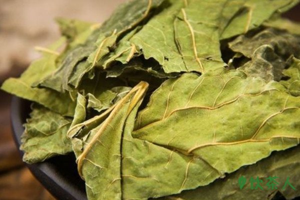 桑叶茶的功效与作用及禁忌，桑叶茶的七大功效(四类人群慎饮)