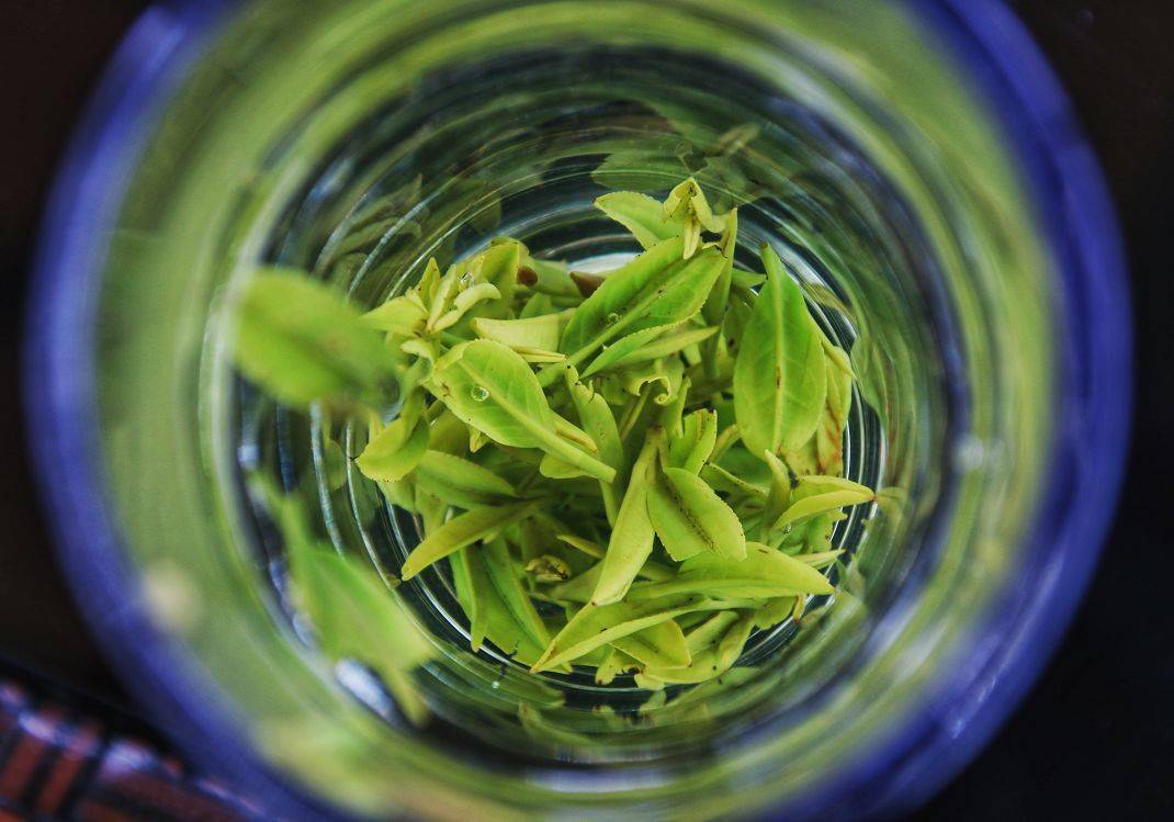 江苏清冽的富硒茶
