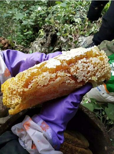 紫阳富硒茶无美颜