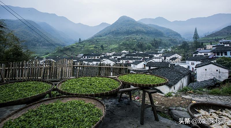 富硒瓜片是什么茶