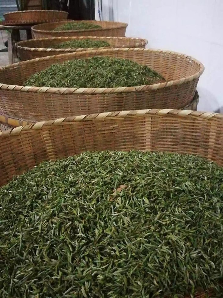 富硒茶是什么种类