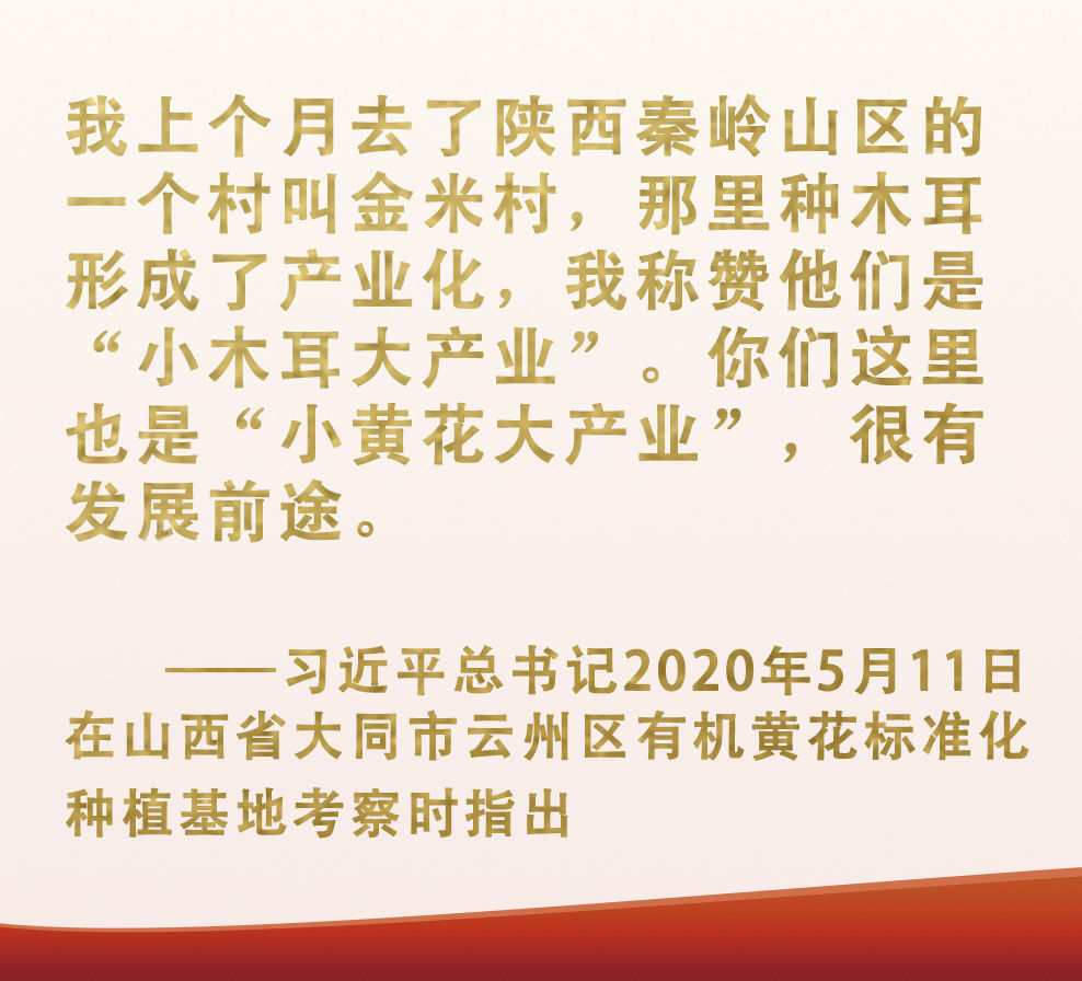 河北富硒茶哪里买