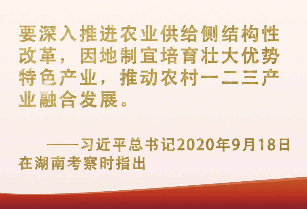 河北富硒茶哪里买