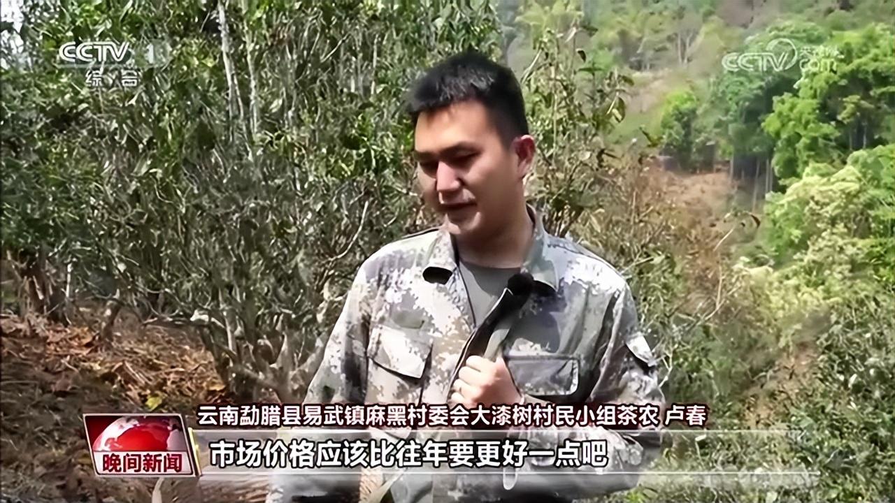普洱富硒茶在哪里