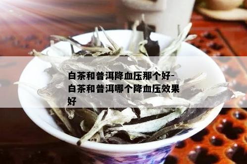 白茶和普洱降血压那个好-白茶和普洱哪个降血压效果好
