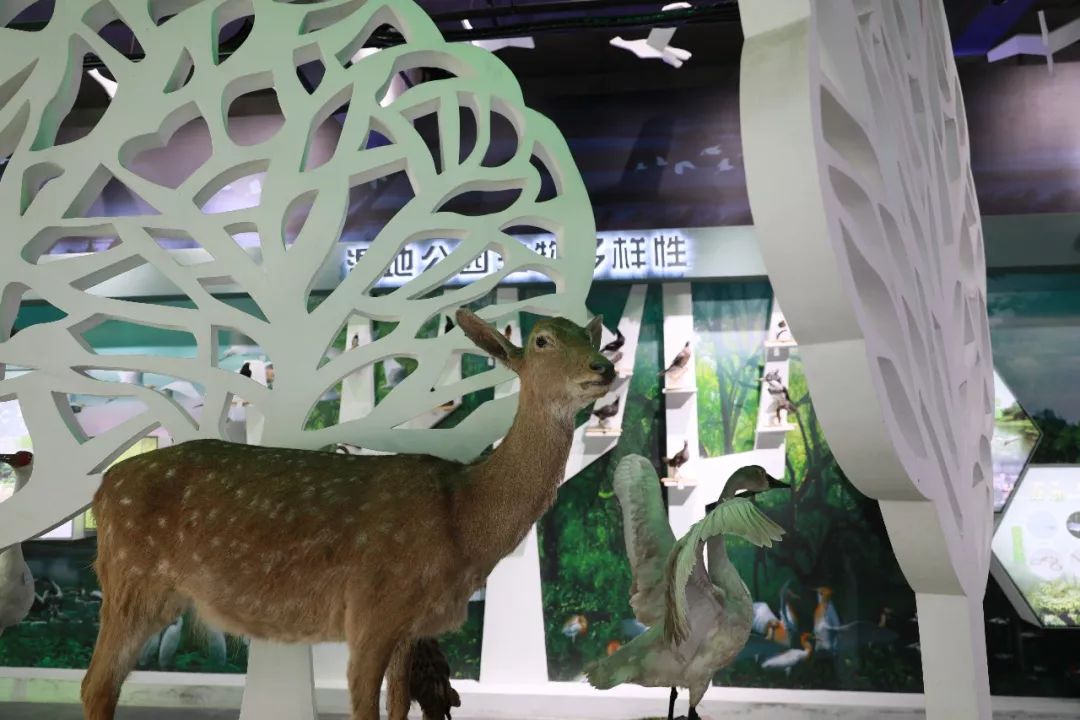 仙寓山富硒茶检测