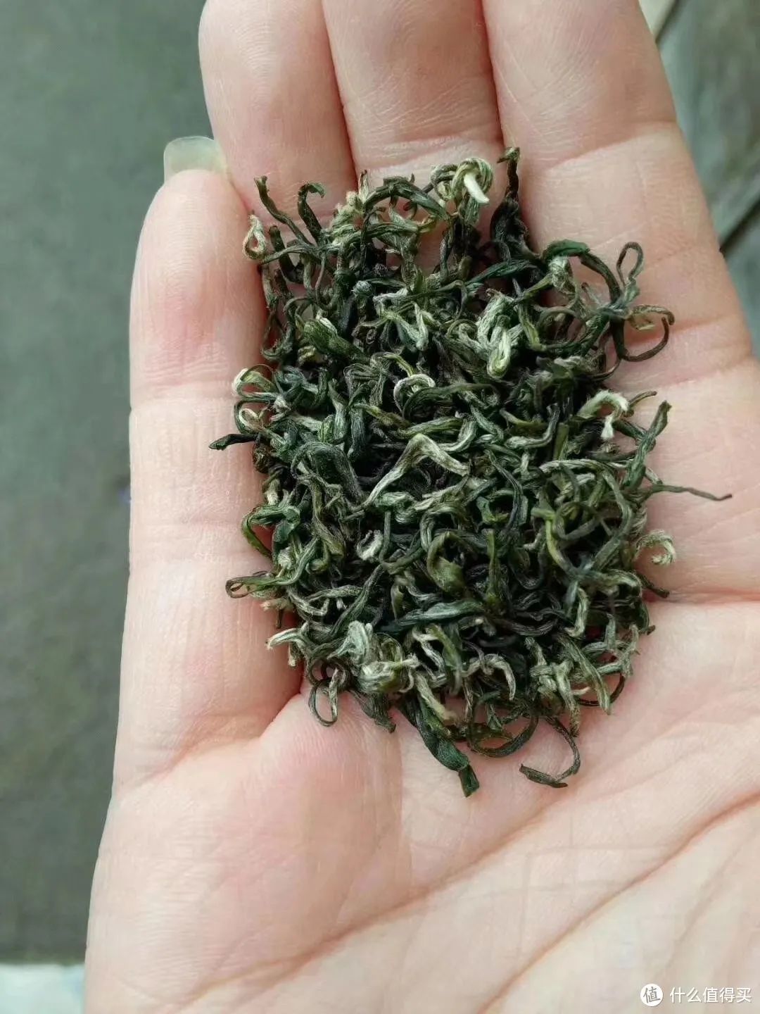 富硒茶能喝普洱茶