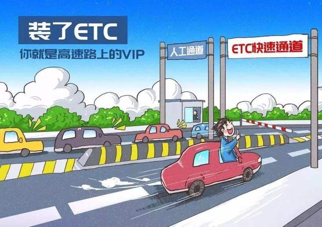 富硒泰德隆长寿茶
