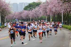 2024“柳马”“警马”赛期确定，规模预计超3万人