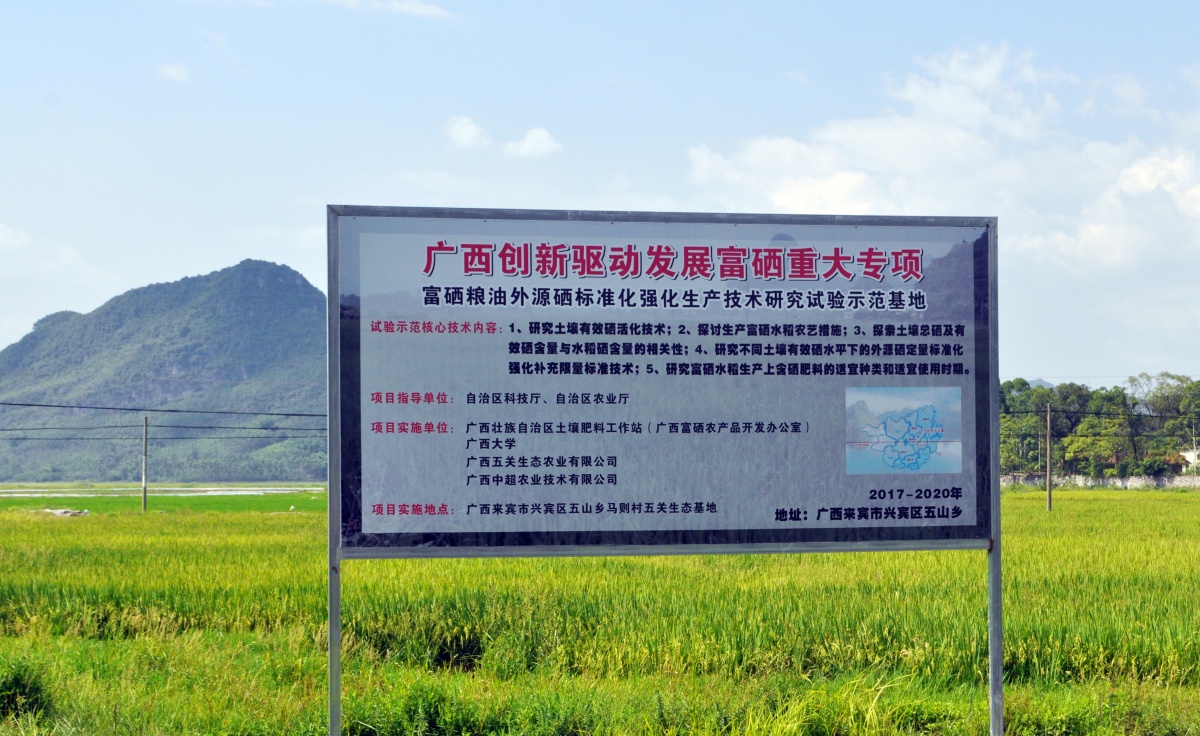 广西中超富硒米茶