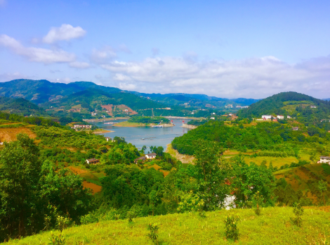 富硒茶陈鸿昌场地