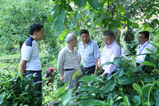 富硒茶陈鸿昌场地