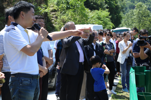 富硒茶陈鸿昌场地