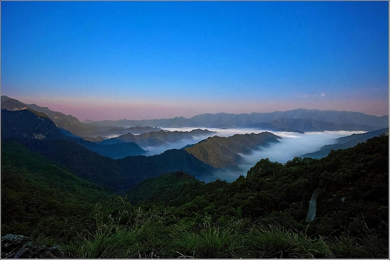 仙人尖富硒茶价各