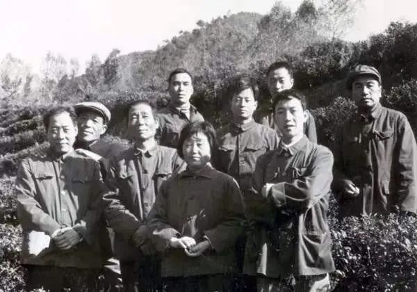 富硒茶消费者分析
