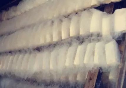 仙寓山石台富硒茶