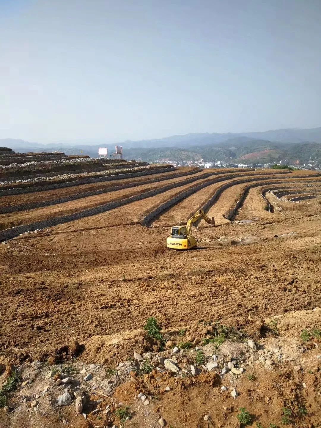 紫阳富硒茶半亩田