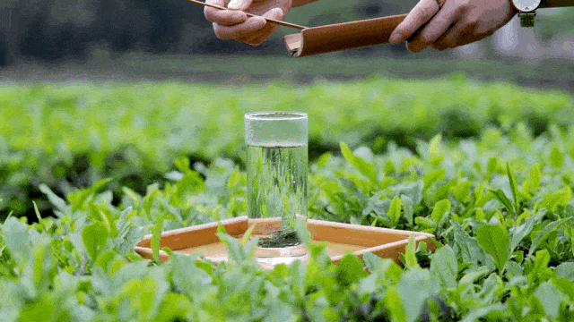 湖北省富硒茶标准