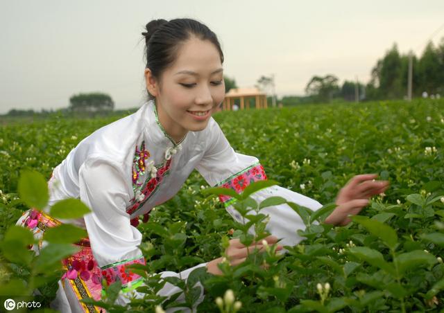 蒋家坡富硒茶6号