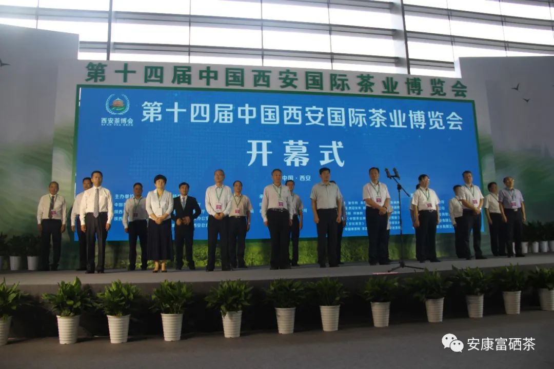全国供销社富硒茶