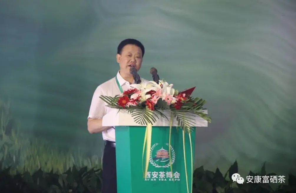 全国供销社富硒茶
