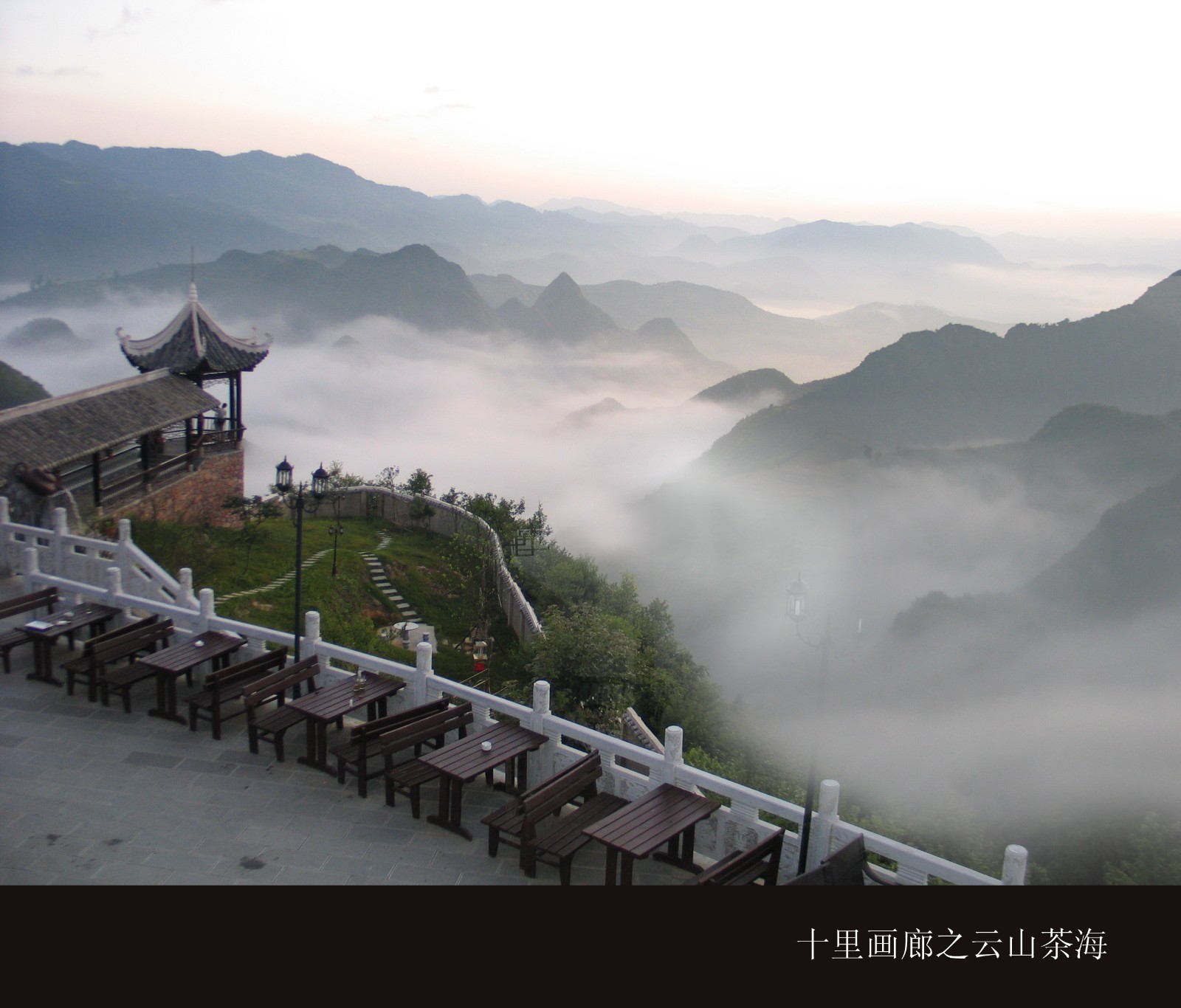 开阳富硒茶多少钱