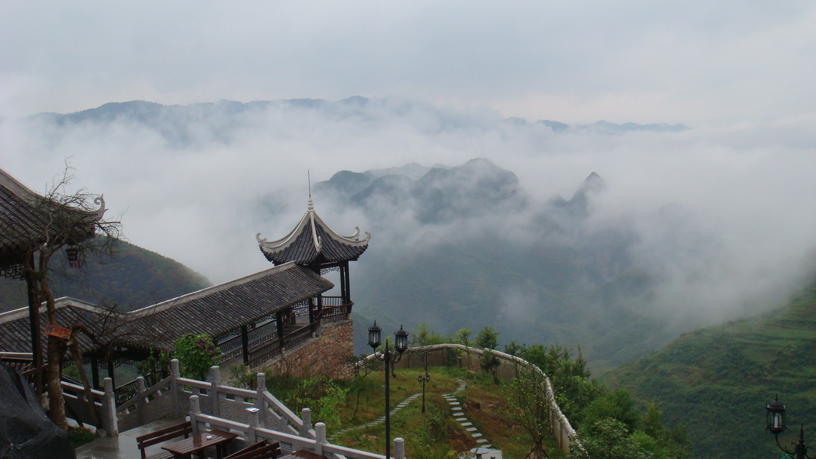 开阳富硒茶多少钱