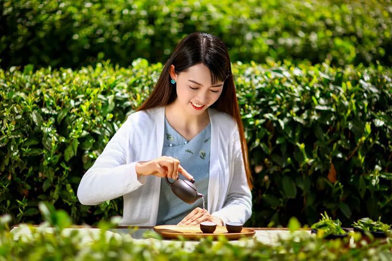 旺园春紫阳富硒茶