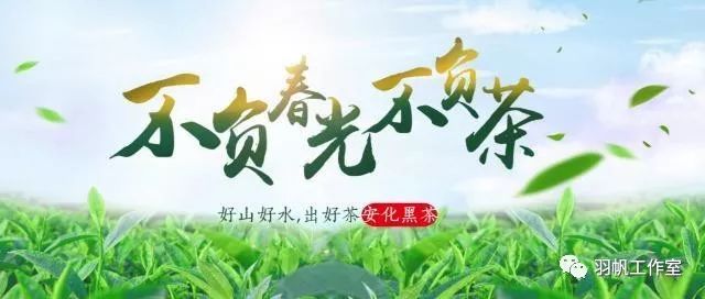 茶农直销网富硒茶