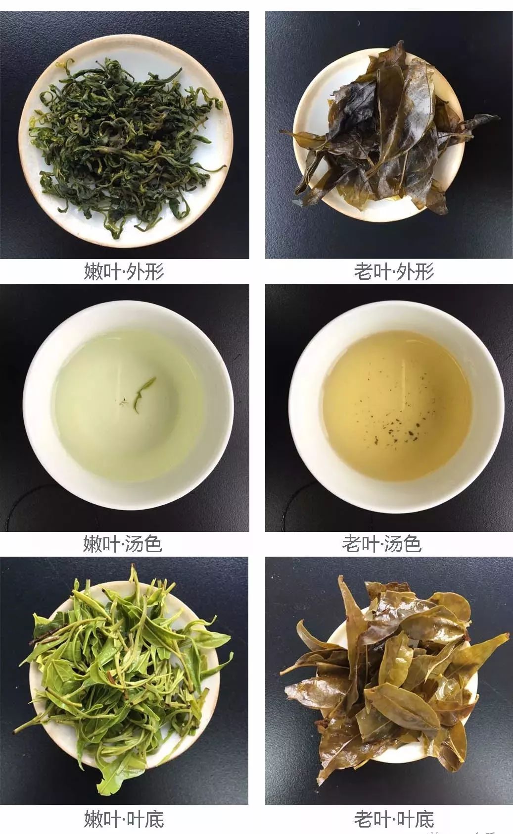 失眠能喝富硒茶吗